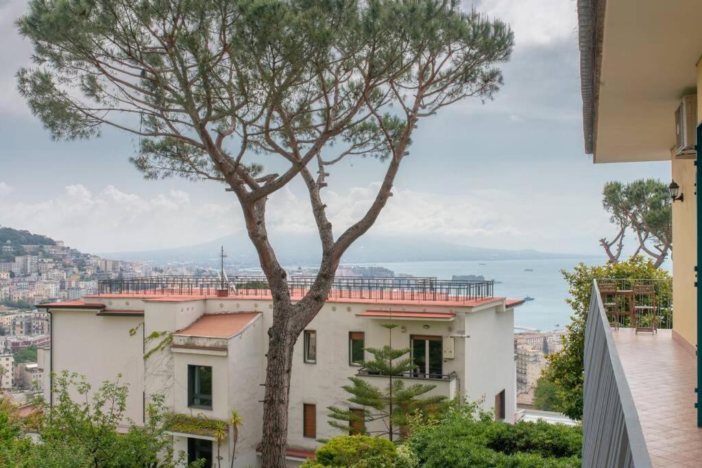 Appartamento Casa Il Pino